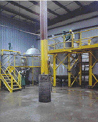 Plant Yellow
